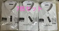 Item thumbnail for item 32f67532-0e6c-43c4-a0d9-8570950c2de3