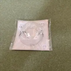 クラフトコード　テグス