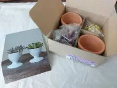 【新品未使用品】フェリシモ　まるで本物多肉植物風キャンドル⑥