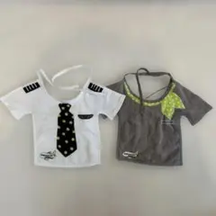 Item thumbnail for item fef6c874-1355-45e3-b434-75cb43564352