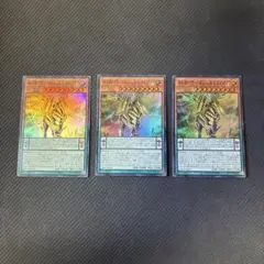 遊戯王カード　糾罪巧-Aizaβ.LEON スーパーレア　3枚セット