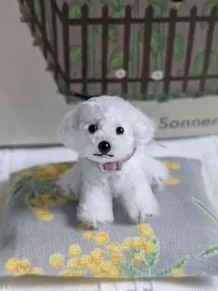 モールアート　マルチーズ　トイプードル　マルプー　ミニチュア　羊毛フェルト