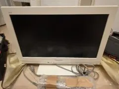 Panasonic TH-L19C5-W