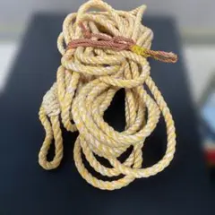 Item thumbnail for item 18aef206-052e-4b5b-96a5-17682fd9448e