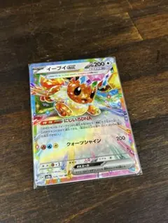 イーブイex RR オマケつき