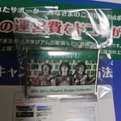 FC GIFU Players Badge Collection