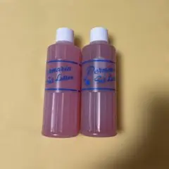 Item thumbnail for item 3a399817-8ed7-4bc3-926a-56cb9f5aa416