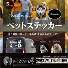 Item thumbnail for item 6fca8860-aab0-4ef2-821f-a31e077cfb5c