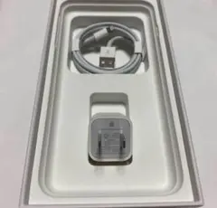 iPhone純正イヤホン付属品　充電器セット①