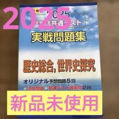 2025 大学入試共通テスト 実戦問題集