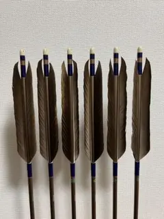 【弓道】黒鷲ナタ ジュラ矢6本組