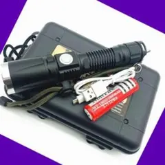 T265 USBケーブルとリチウム電池付き☆懐中電灯led強力USB充電式 防水