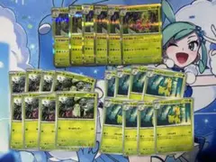ポケモンカード チコリータ進化ライン