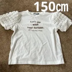 150㎝Tシャツ