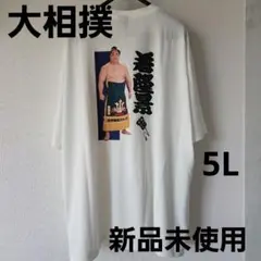 大相撲　関脇　若隆景　応援Tシャツ　5L　新品未使用タグ付き　荒汐部屋