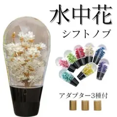 Item thumbnail for item 23d3d819-5574-4205-8ba0-e3ddfaf3ec60