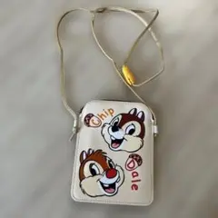 美品　東京ディズニーリゾート　チップとデール チケットホルダー　ディズニーランド
