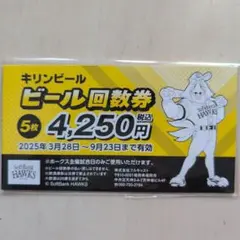 ソフトバンクホークスキリンビール回数券 5枚セット