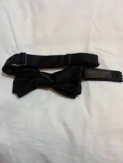 Item thumbnail for item 47f8cd68-396c-495c-9941-06e799b5ad62