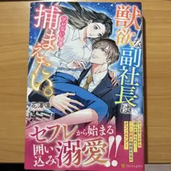 獣欲な副社長はツレない秘書を捕まえたい。