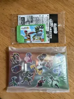 メガルカリオポケモンフレンダ　JR東日本スタンプラリー2025 STAGE2景品