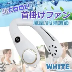 Item thumbnail for item d0c0c37a-358f-41ca-9936-134b1c6ce10b