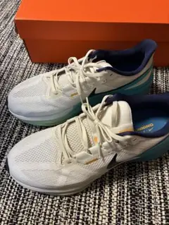 Item thumbnail for item 87c682a5-b667-49df-a94a-cd22cfb7a1eb