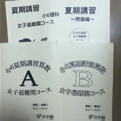 浜学園 小6 夏期講習 女子最難関コース テキスト・復習テスト　セット 浜学園 小6 夏期講習 女子最難関コース テキスト・復習テスト