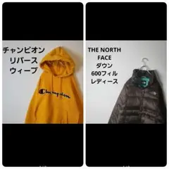THE NORTH FACE ダウン600フィル 襟モコモコ 希少デザイン