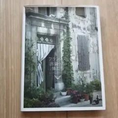 フランスで出会った猫たち