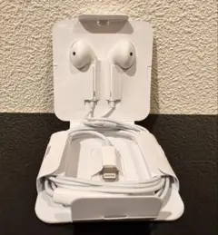 Item thumbnail for item 3a228050-e4df-4ff3-a9f7-9279f066f1a6