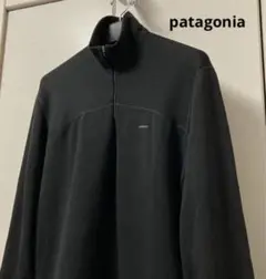 patagonia パタゴニア キャプリーン ハーフジップ フリース メンズ L