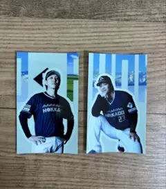 【新品未使用】ファイターズ　ステッカー　伏見寅威　宮西尚生