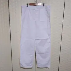 Item thumbnail for item 120409c9-9cd8-4a62-8317-02e364470a8f