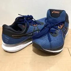 Item thumbnail for item f0a4e293-85a7-4997-9298-8d3f35c20904