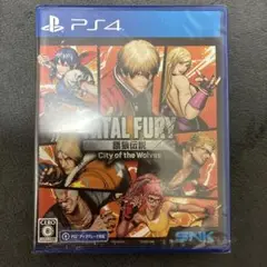 餓狼伝説 City of the Wolves SPECIAL EDITION