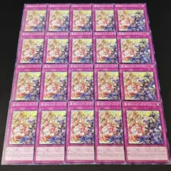 11464 遊戯王 聖邪のステンドグラス ノーマル 20枚セット DBVS