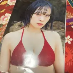 石栗奏美 写真集
