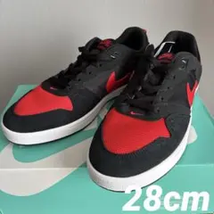【新品】NIKE SB ALLEYOOP アリウープ CJ0882-006
