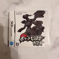 ★美品★ニンテンドーDS ポケットモンスター ホワイト 箱・説明書付き