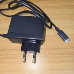 海外用 任天堂 純正 充電ケーブル Type C Switch スイッチ