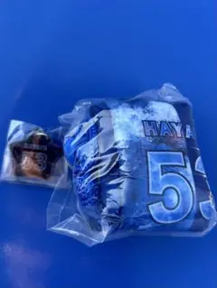 横浜DeNAベイスターズ 颯 53 ペットボトルカバー