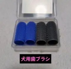 Item thumbnail for item 51055694-0005-4dff-9e8a-59da64919983