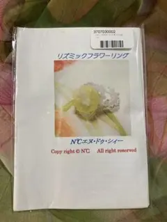 Item thumbnail for item 24663aaf-8f55-4c5d-bd55-88b83ef30d03