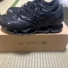 Mizuno wave prophecy 黒‼️