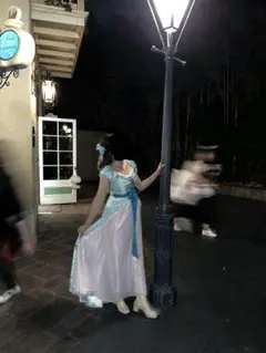 【シークレットハニー】魔法にかけられて ジゼル コスプレ衣装