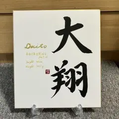 シンプル命名書　楷書体（手書きオーダーお食い初めお宮参り100日祝いお七夜）