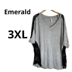 一点物【Emerald 】グレー　 VネックTシャツ 3XL
