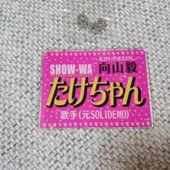 【SHOW-WA 向山毅】お台場冒険王限定ブロマイド 全5種セット たけちゃん SHOW-WA 向山毅】お台場冒険王限定ブロマイド 全5種セット たけ