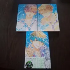 どうせ、恋してしまうんだ 1.2.3巻